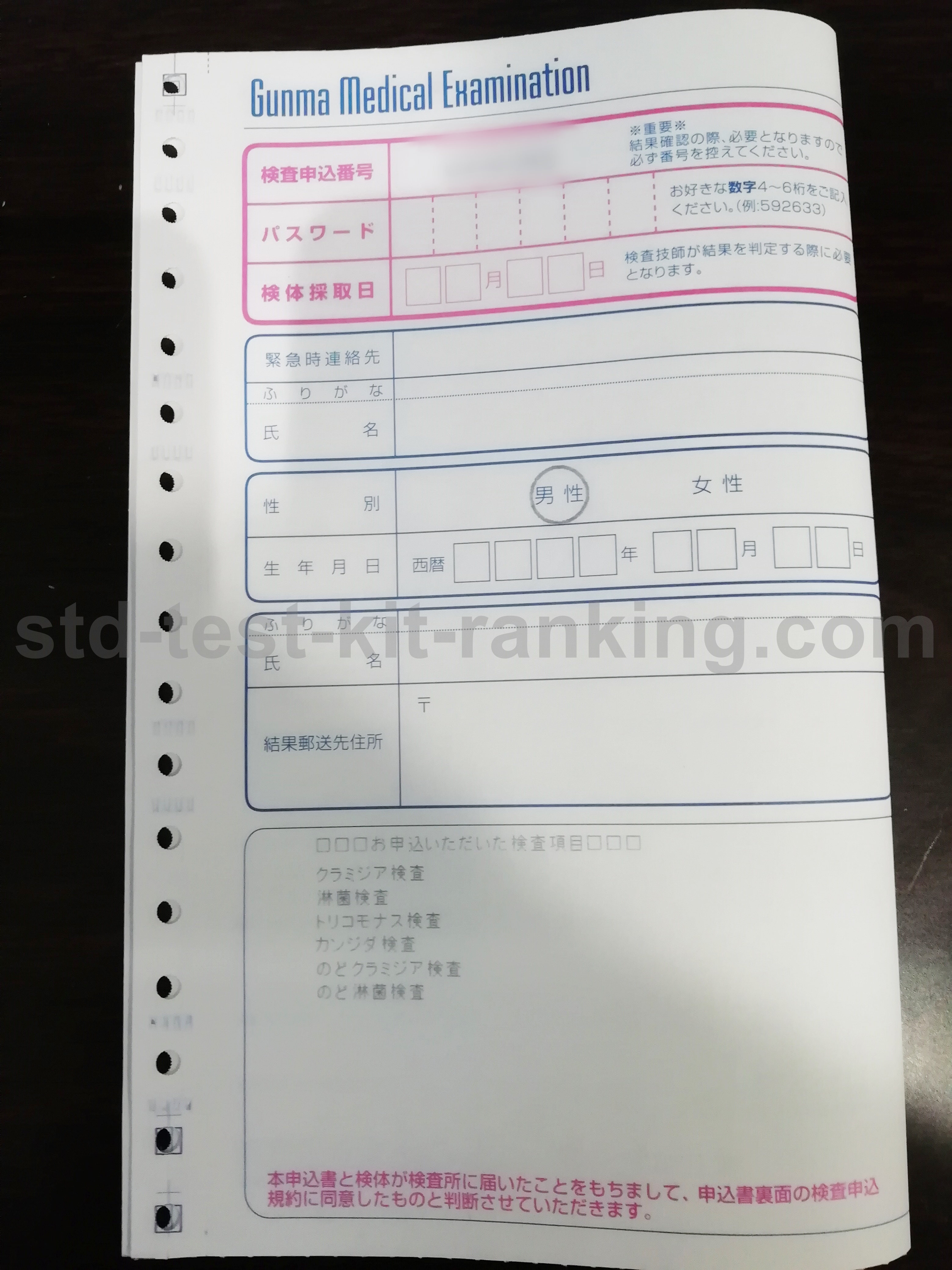 GME 性病検査キット